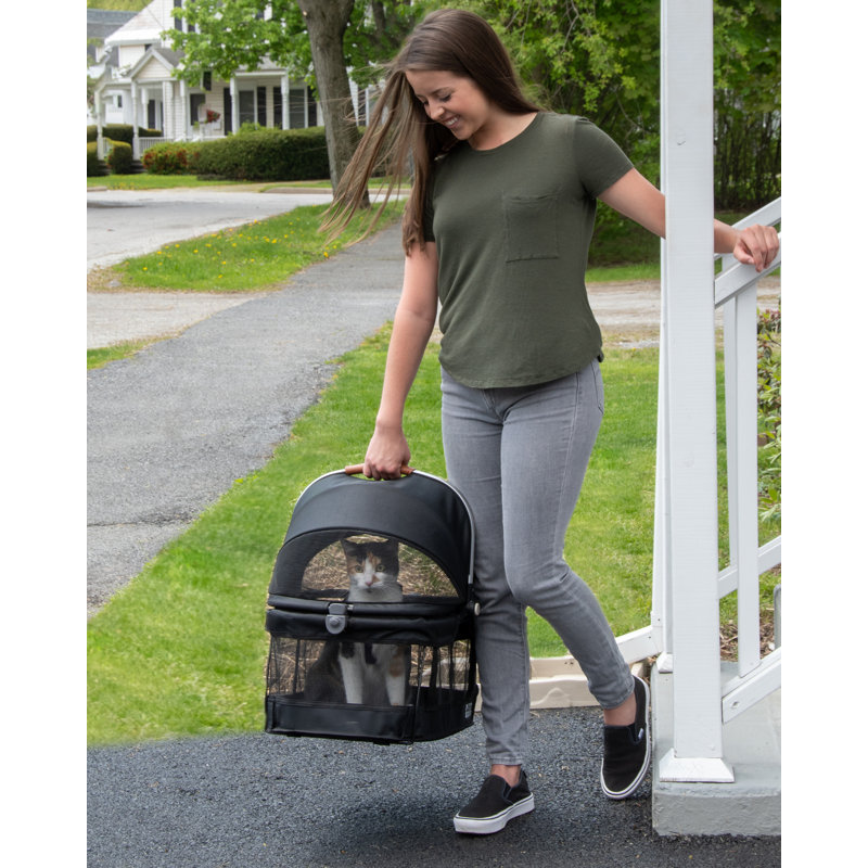 Pet Gear View 360 Pet Carrier & Reviews Wayfair